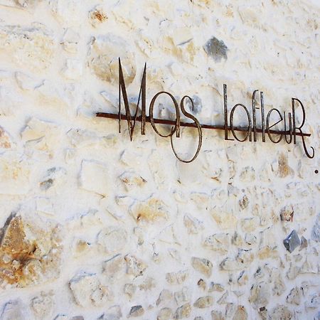 Châteaurenard Mas Lafleur Bed & Breakfast エクステリア 写真