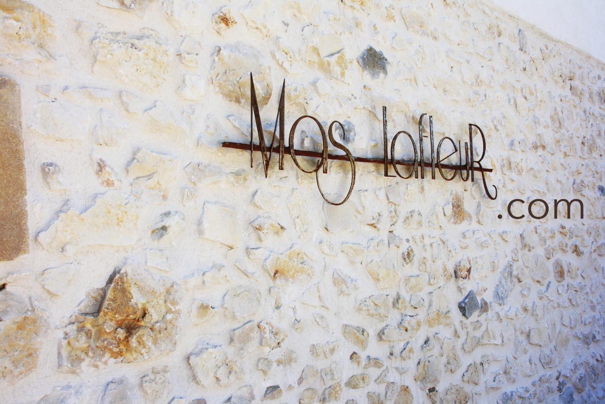 Châteaurenard Mas Lafleur Bed & Breakfast エクステリア 写真